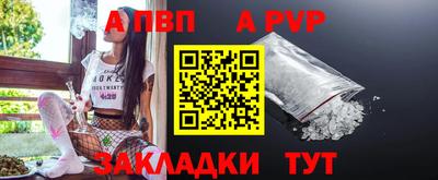 бошки Тверь