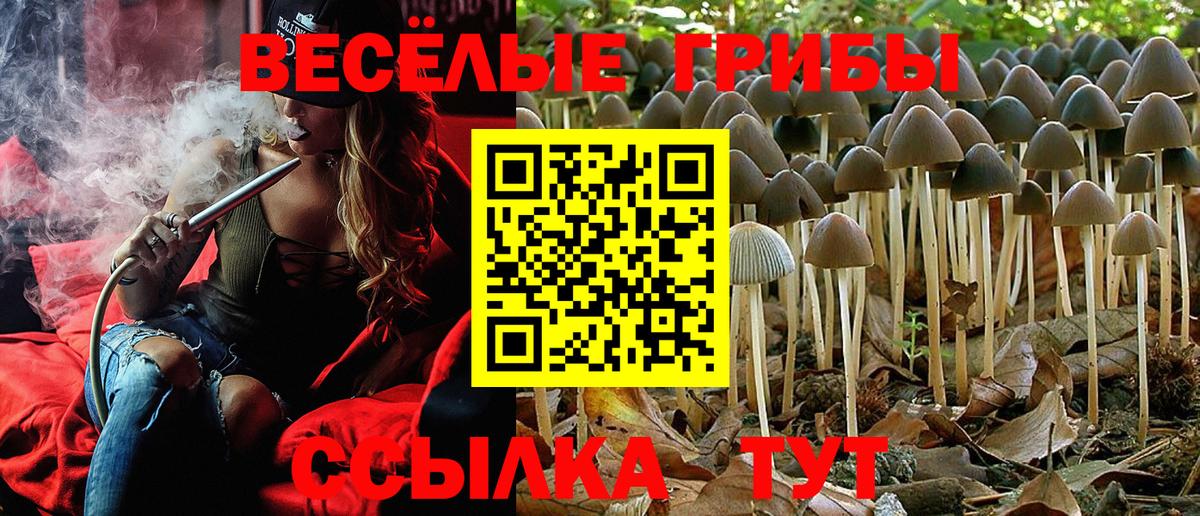 Муром  Галлюциногенные грибы GOLDEN TEACHER  Вход с VPN 