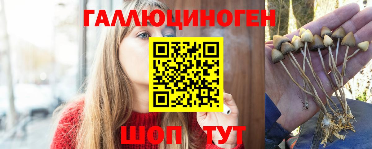 Псилоцибиновые грибы мицелий Муром